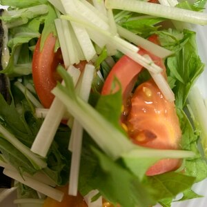 パリパリ水菜サラダ〜塩ごま油〜